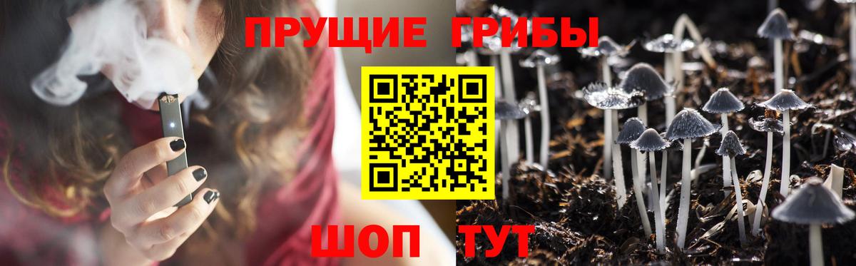 Галлюциногенные грибы MAGIC MUSHROOMS  Вход с VPN  Киржач 